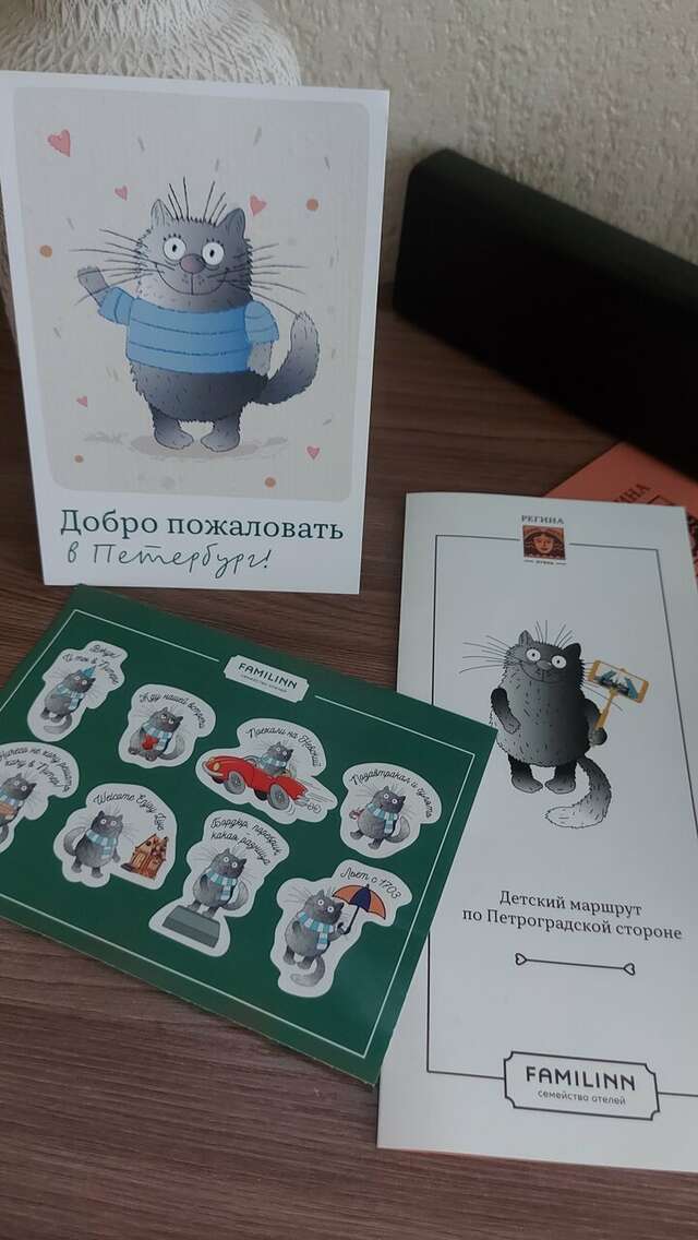 Гостиница Регина Санкт-Петербург-126