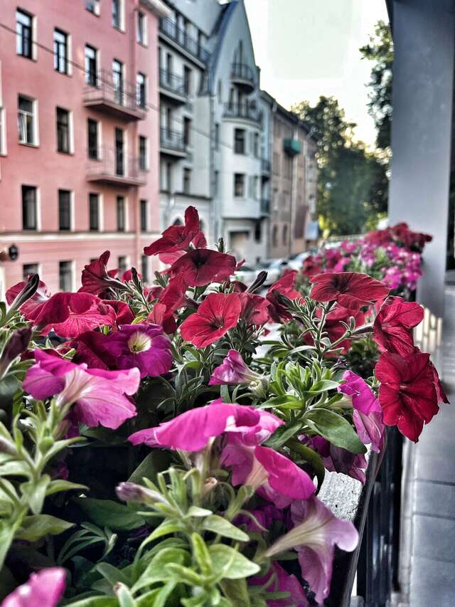 Гостиница Регина Санкт-Петербург-82