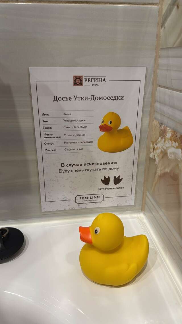 Гостиница Регина Санкт-Петербург-127